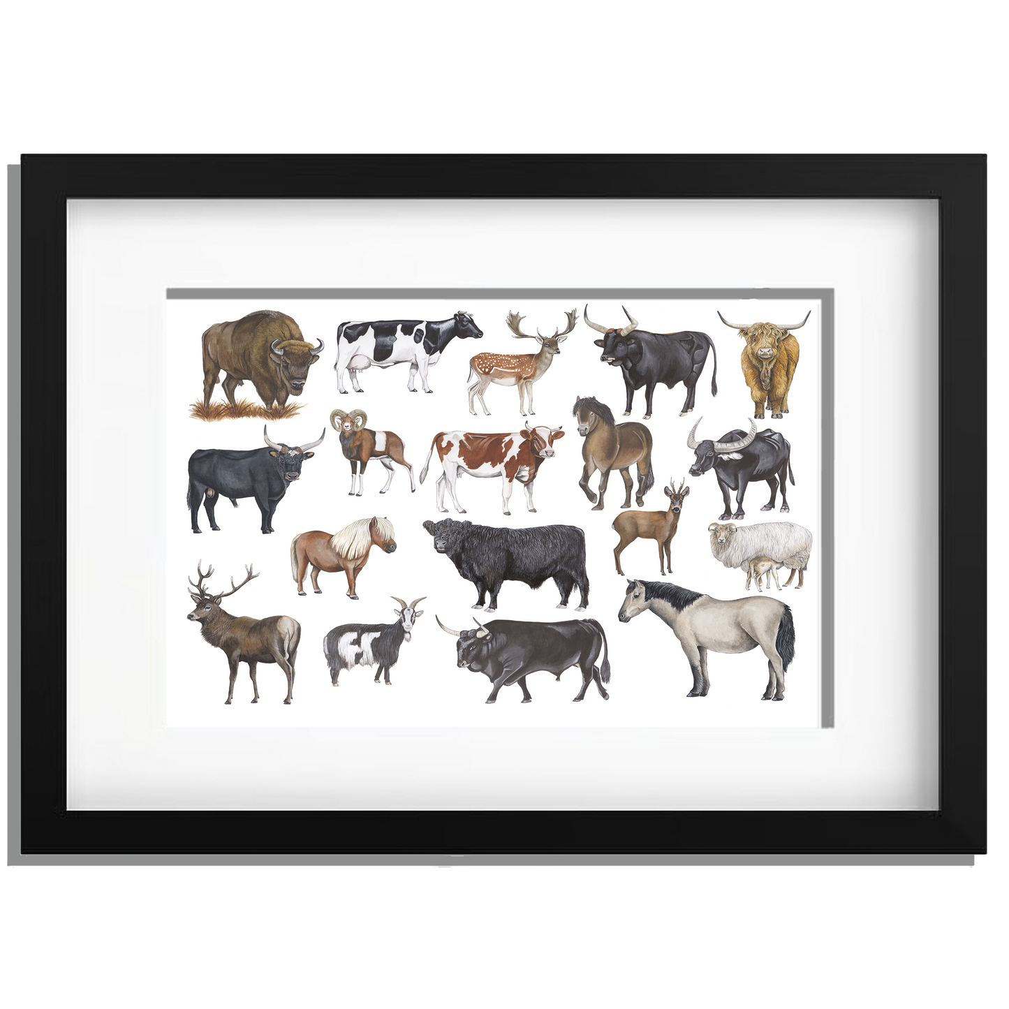 Ingelijst "Grote grazers"