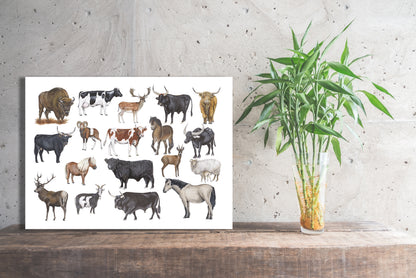 Wanddecoratie "Grote grazers"