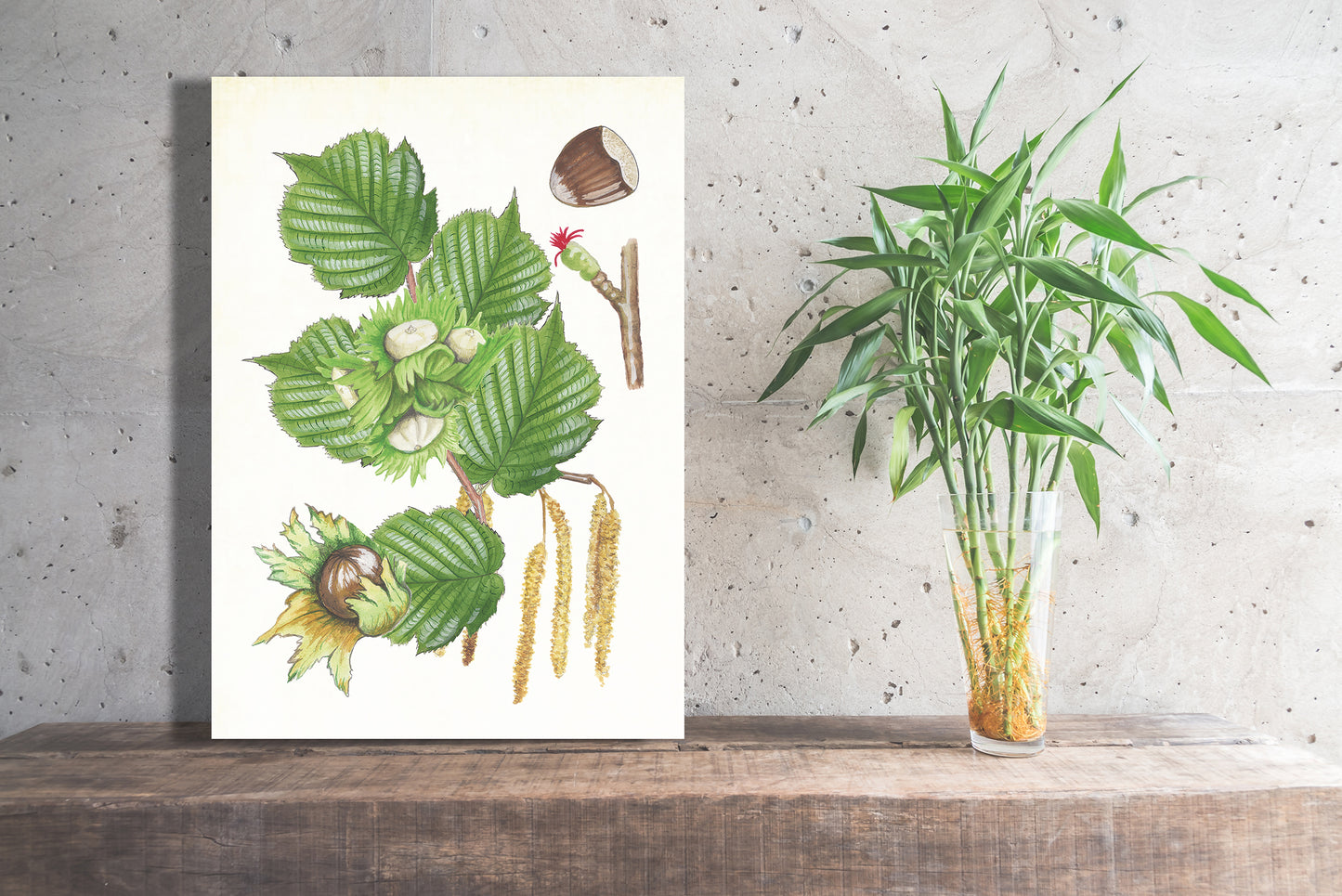 Wanddecoratie "Hazelaar, het leven van"
