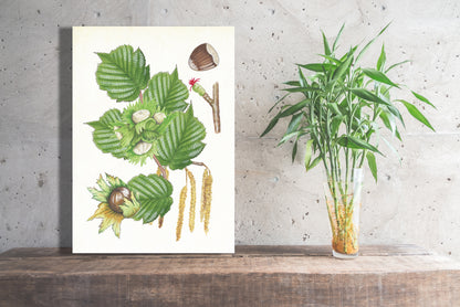 Wanddecoratie "Hazelaar, het leven van"