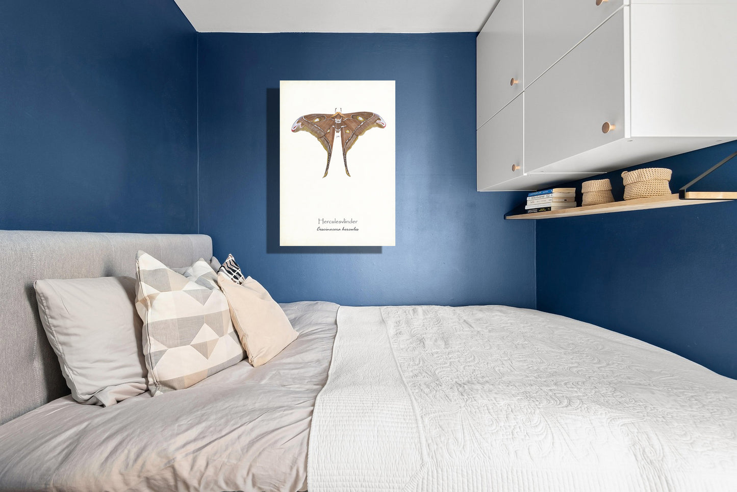 Wanddecoratie "Herculesvlinder"