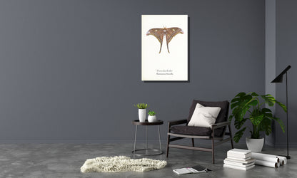 Wanddecoratie "Herculesvlinder"