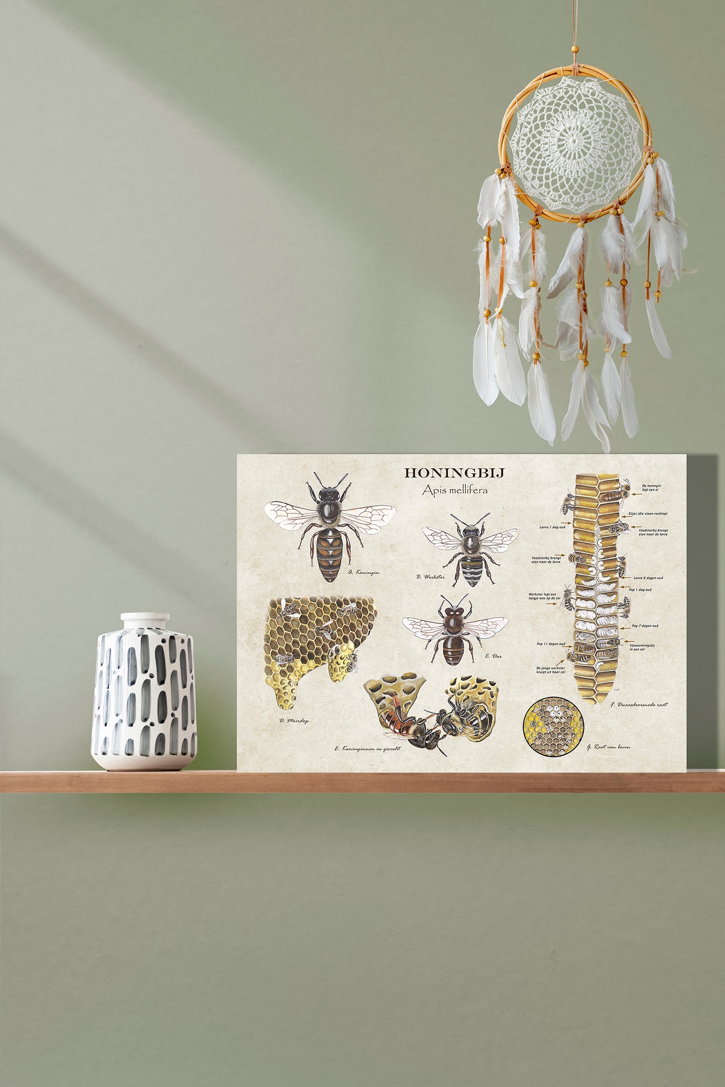 Wanddecoratie "Het leven van de honingbij"