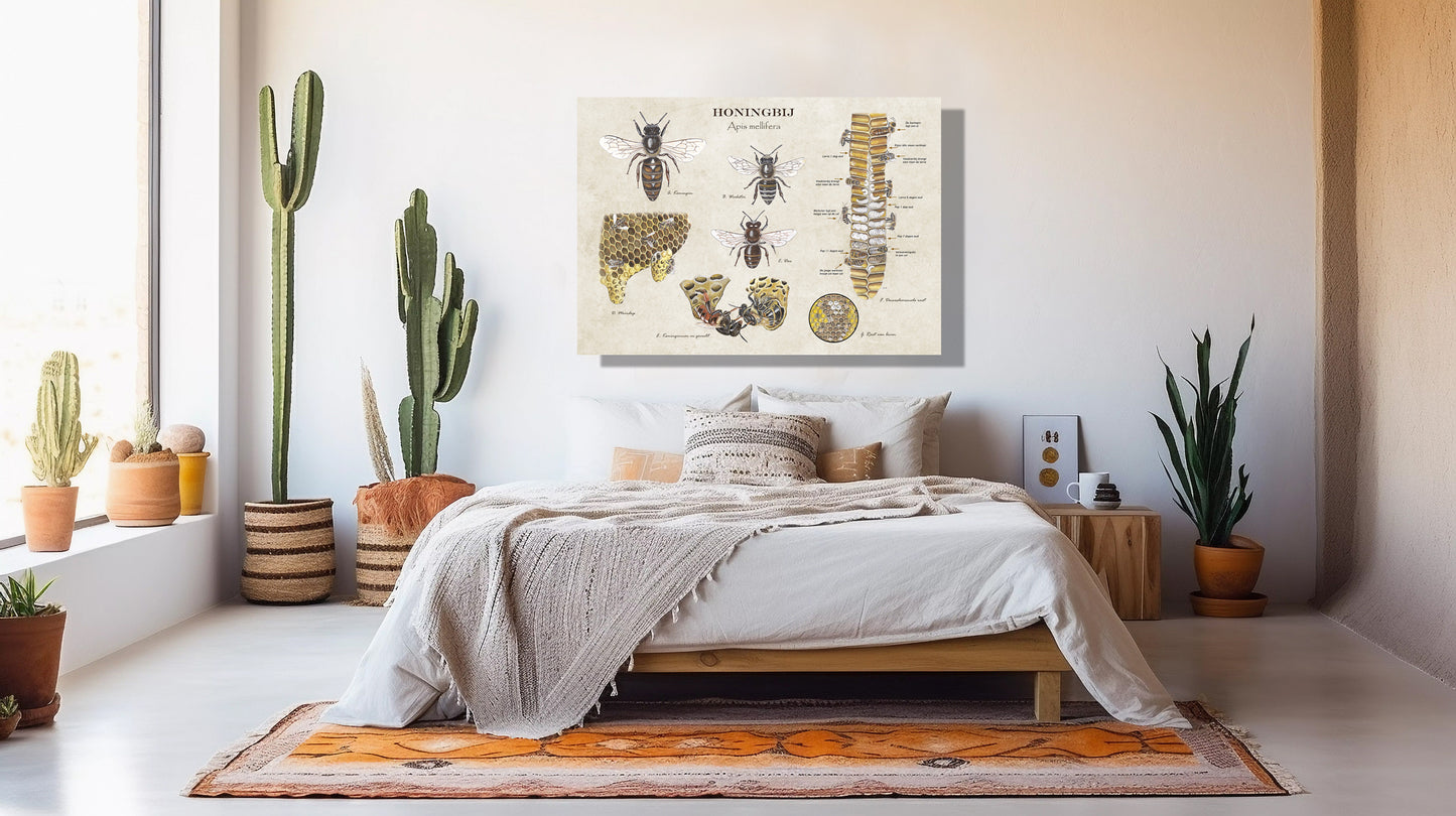 Wanddecoratie "Het leven van de honingbij"