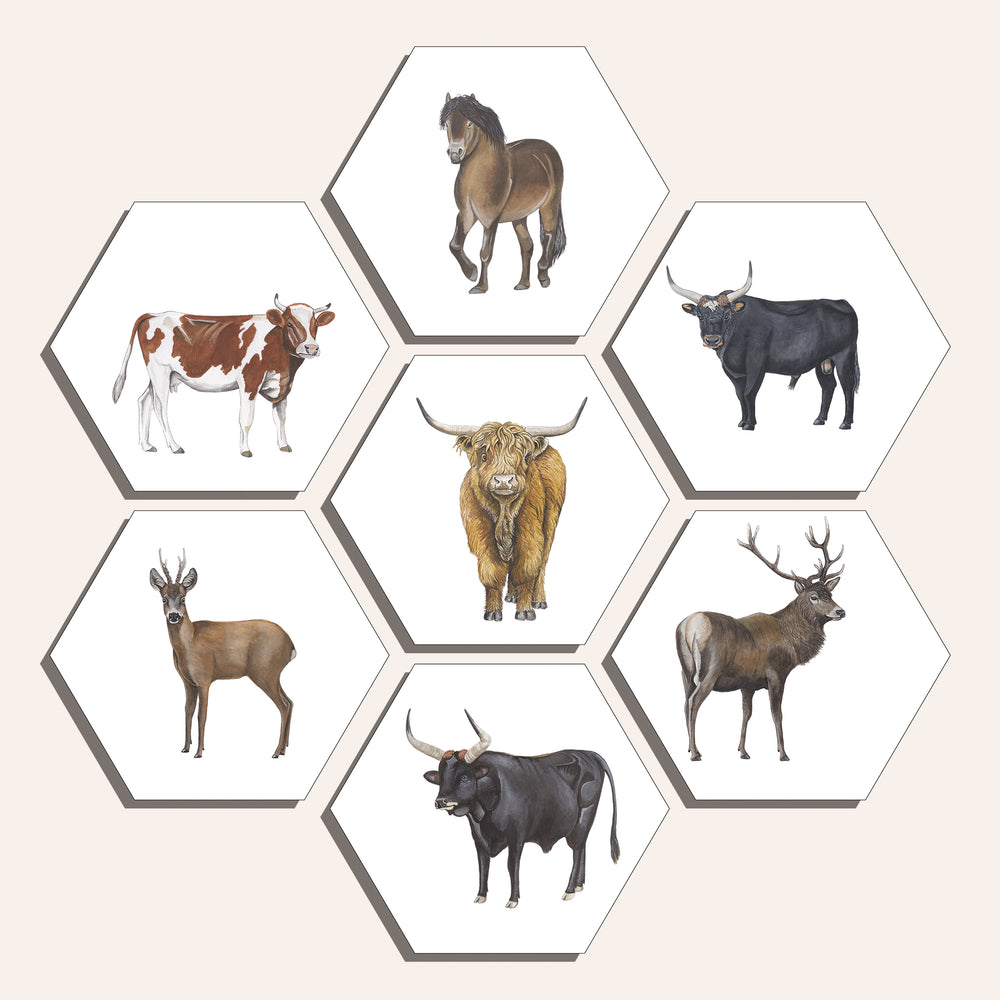 Collage "Grote grazers (7)"
