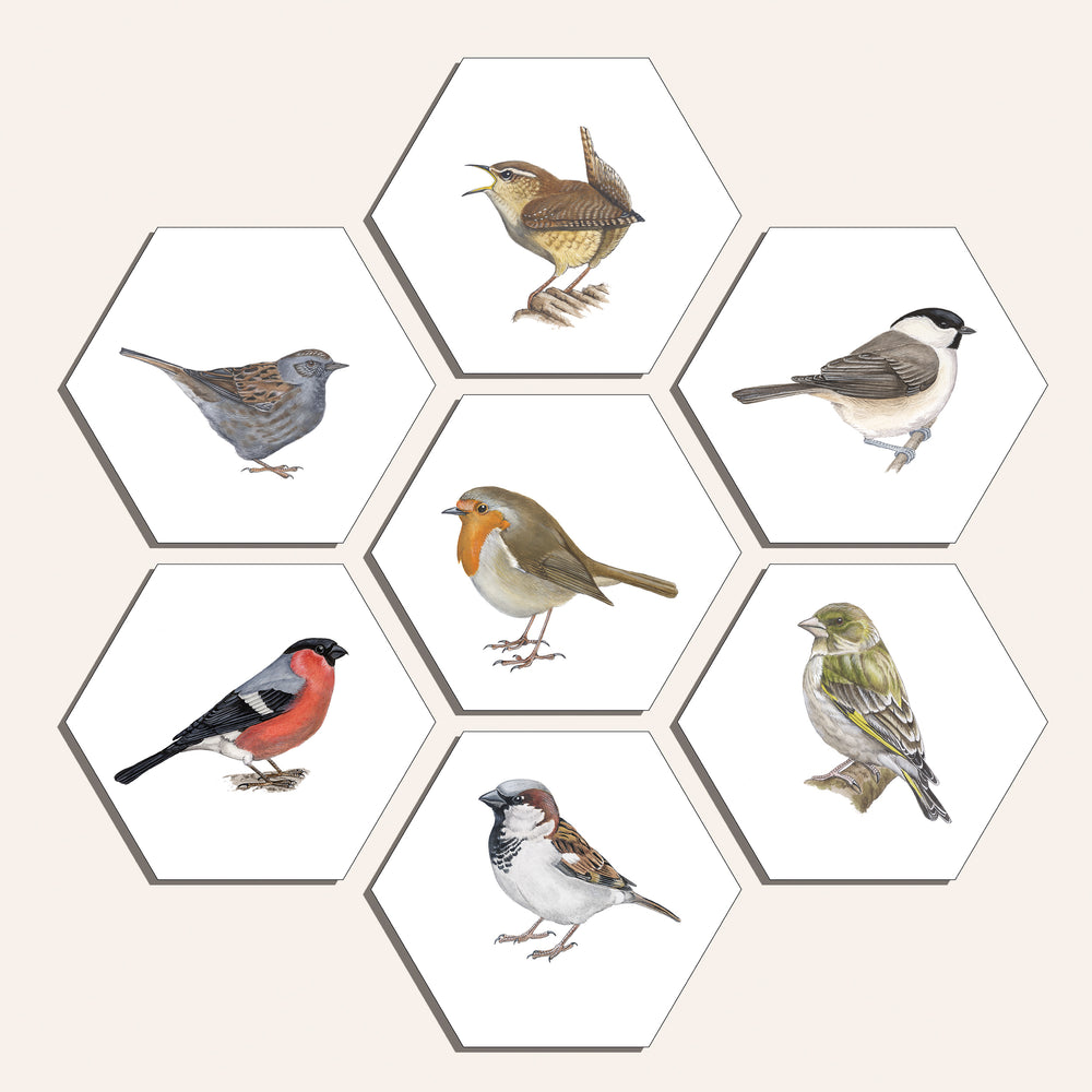 Collage "Zangvogels (7)"