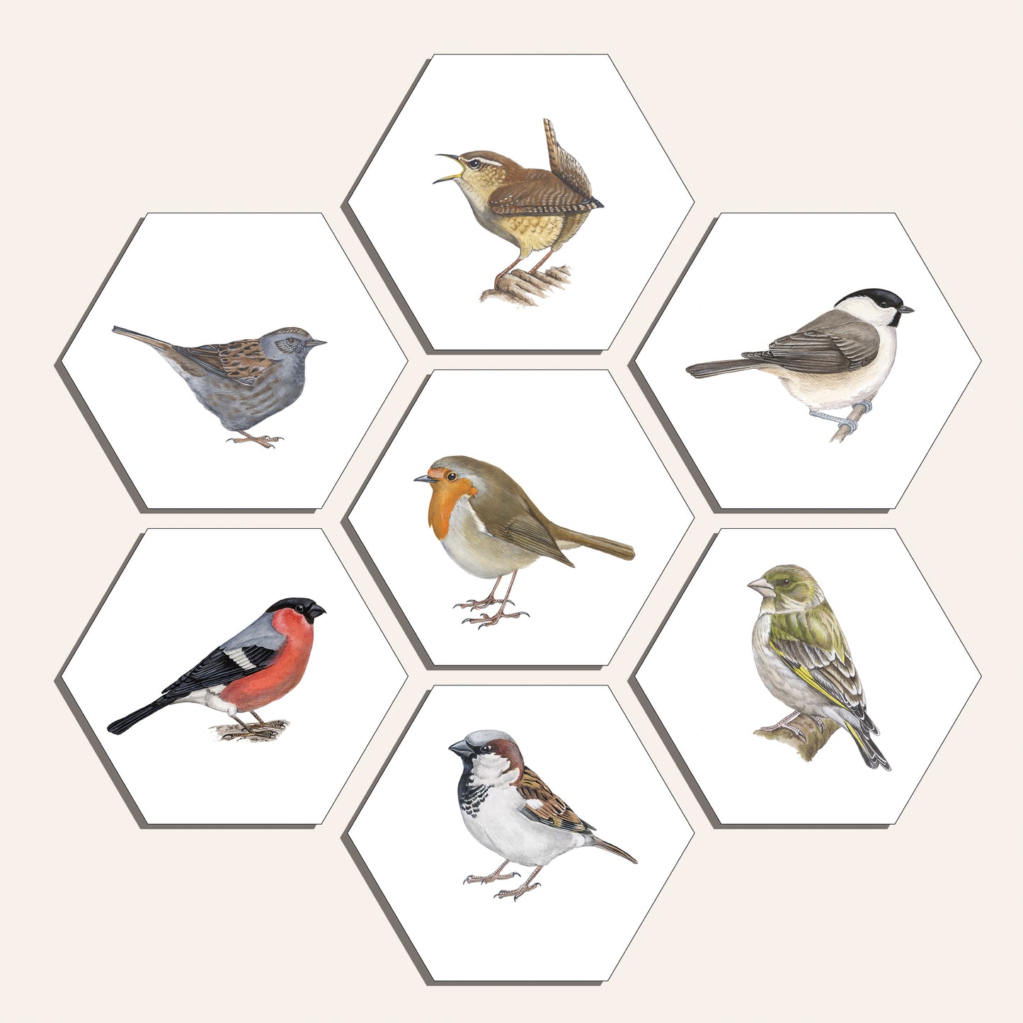 Collage "Zangvogels (7)"