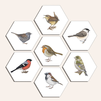 Collage "Zangvogels (7)"