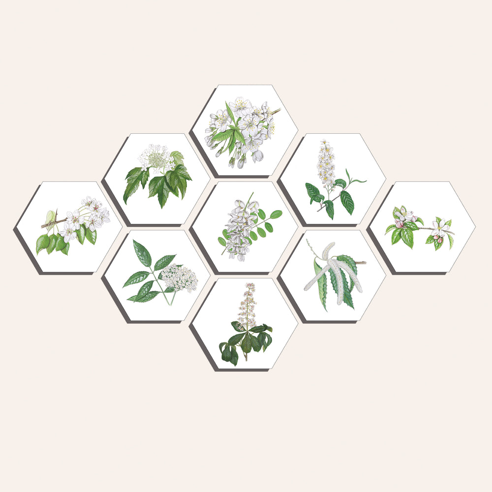 Collage "Bloesems"