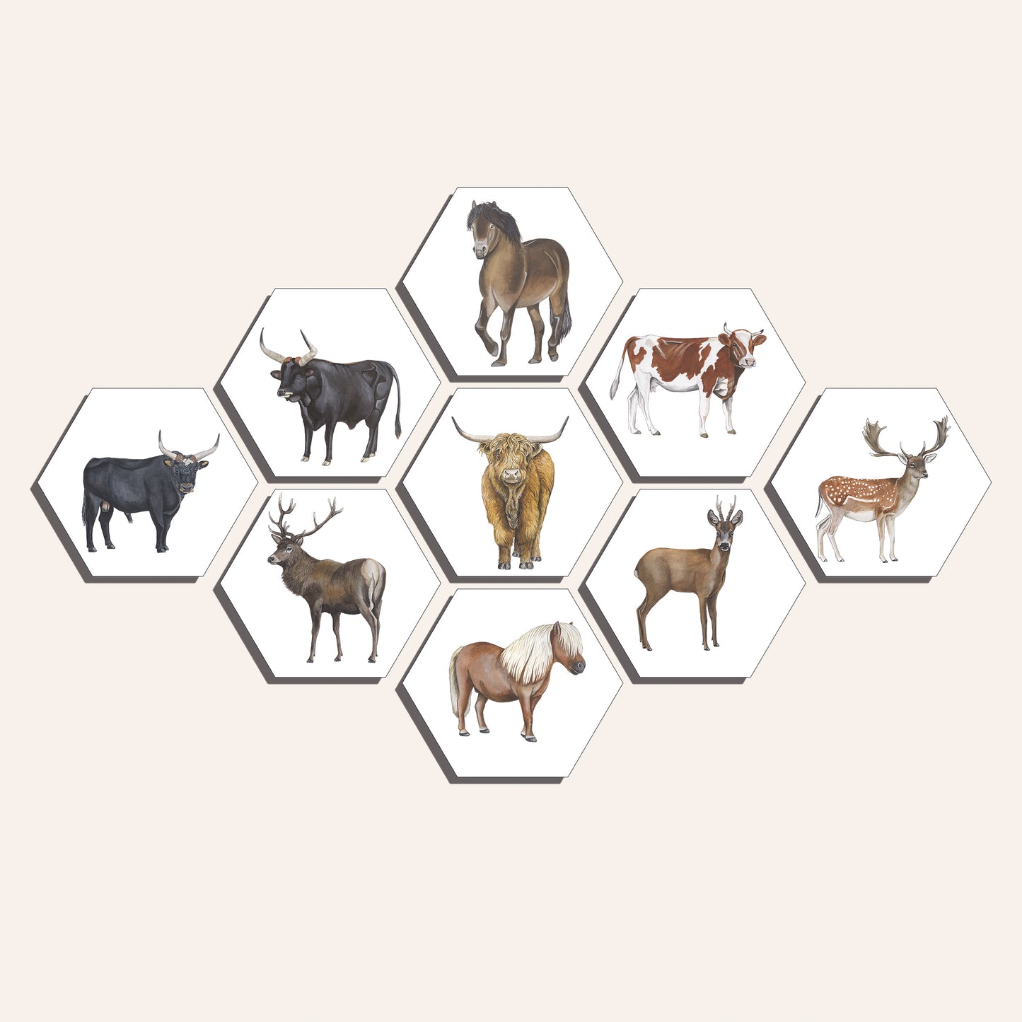 Collage "Grote grazers (9)"