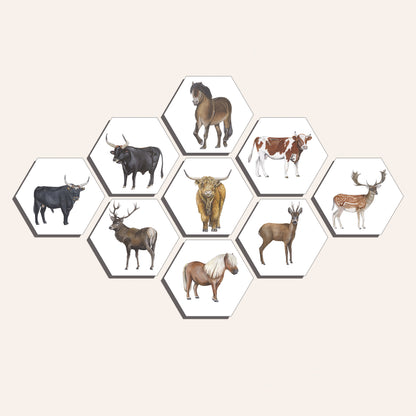Collage "Grote grazers (9)"