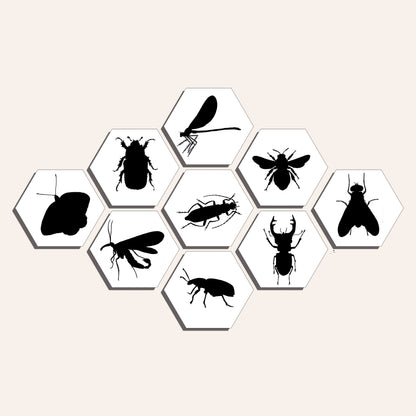 Collage "Insecten - silhouetten"
