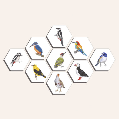 Collage "Kleurrijke vogels"