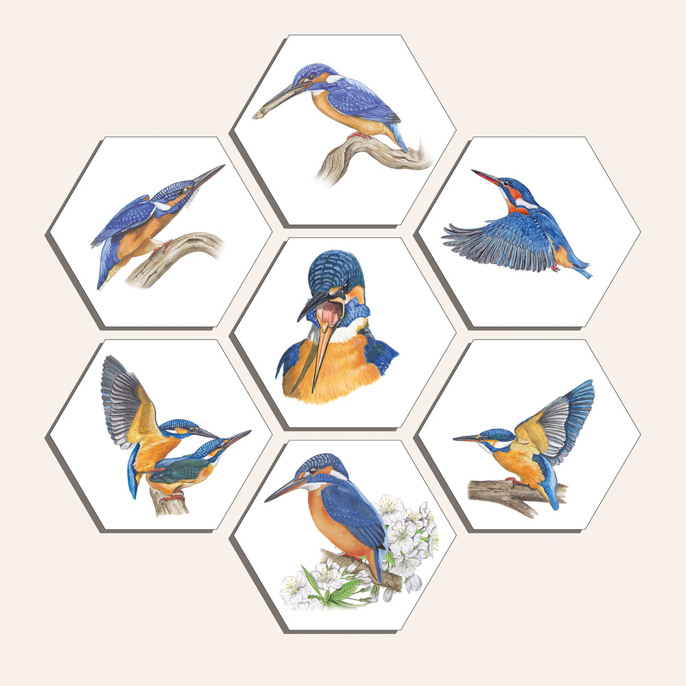 Collage "IJsvogel"