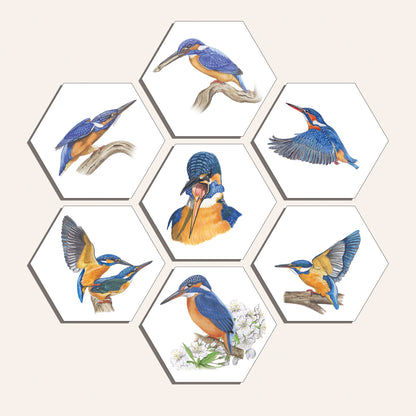 Collage "IJsvogel"