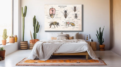 Wanddecoratie "Honingbij - Anatomie van de koningin"