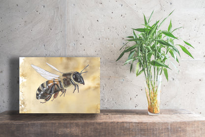 Wanddecoratie "Honingbij werkster in vlucht"