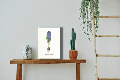 Wanddecoratie "Hyacint"