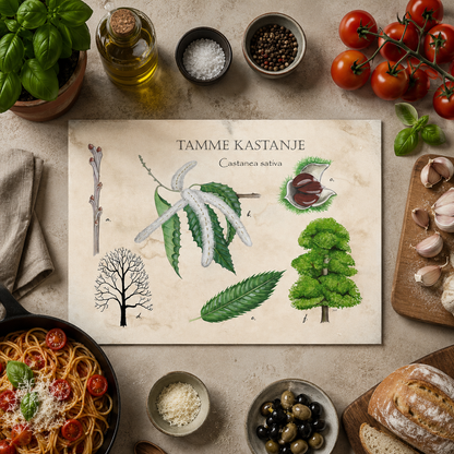 Inductieplaatbeschermer "Tamme kastanje, het leven van"
