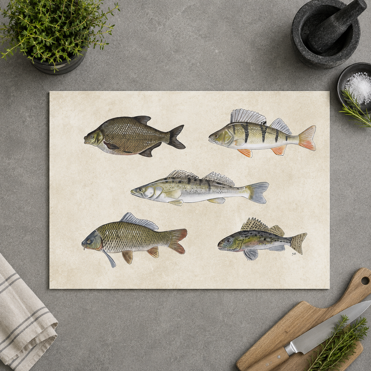 Inductieplaatbeschermer "Collage van zoetwatervissen