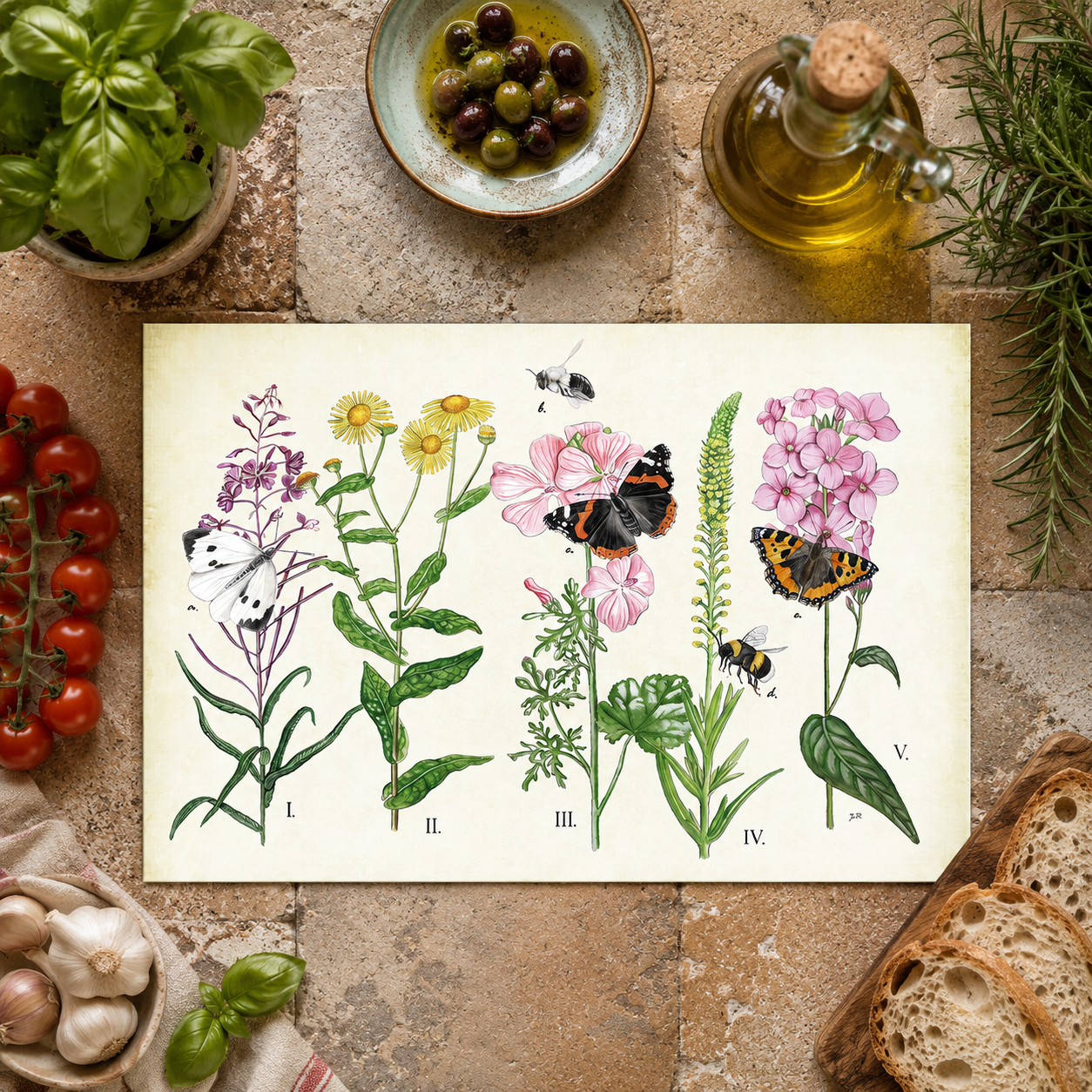 Inductieplaatbeschermer "Planten en haar insecten"