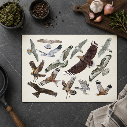 Inductieplaatbeschermer "Roofvogels in vlucht"