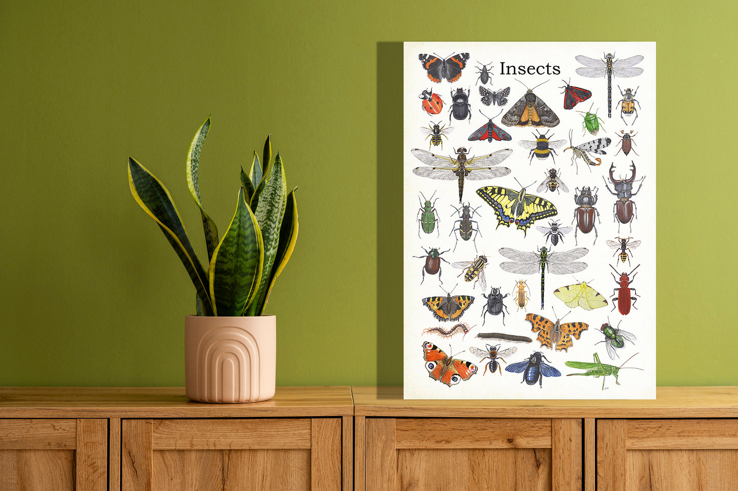 Wanddecoratie "Insects"