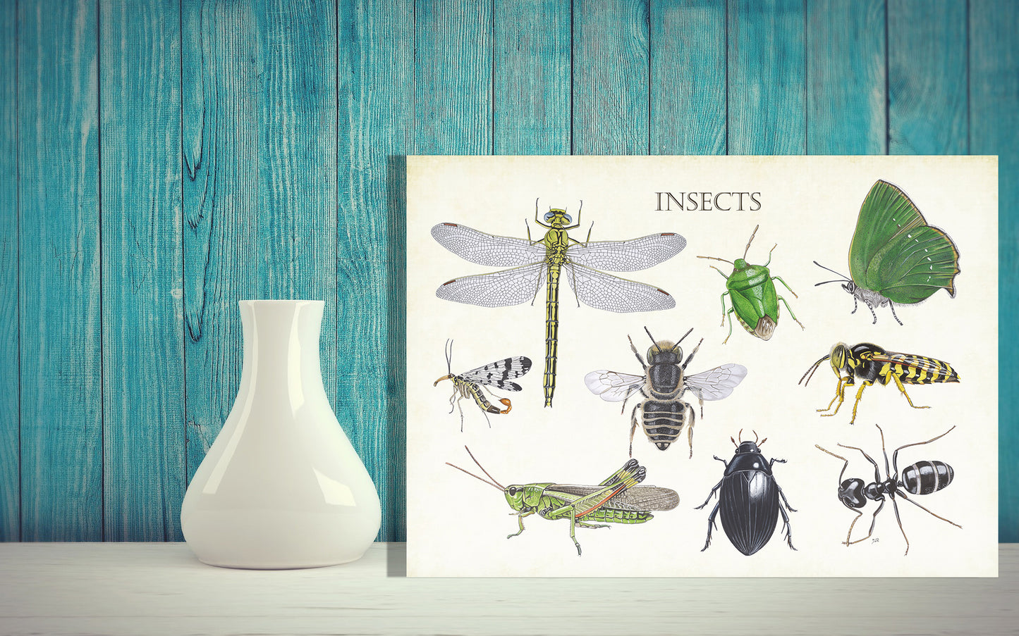 Wanddecoratie "Insects 2"