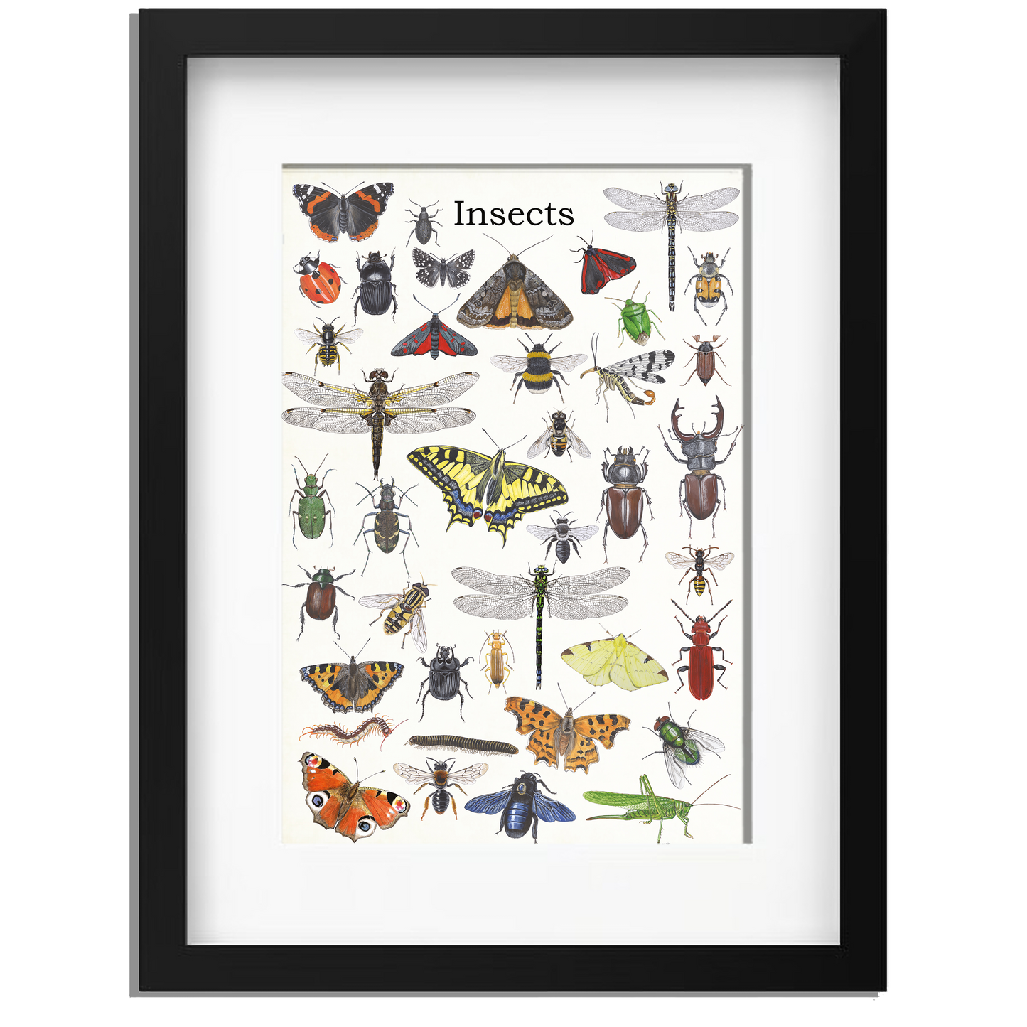 Ingelijst "Insects"