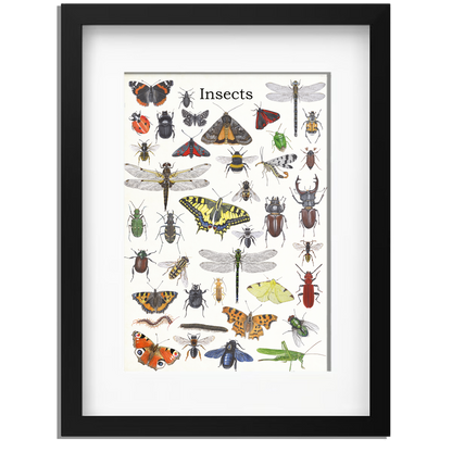 Ingelijst "Insects"