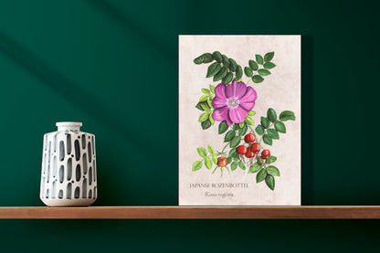 Wanddecoratie "Japanse rozenbottel"