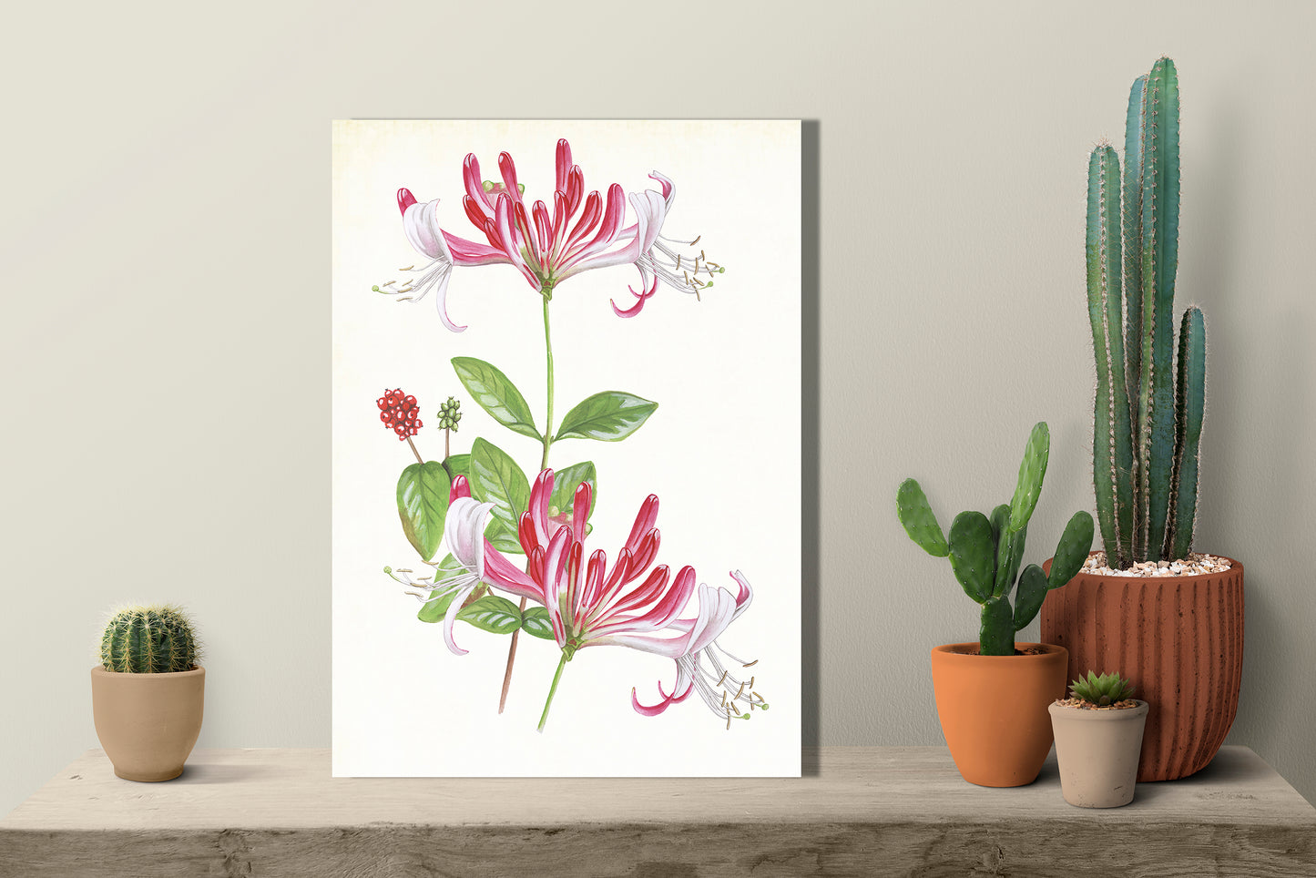 Wanddecoratie "Kamperfoelie, het leven van"