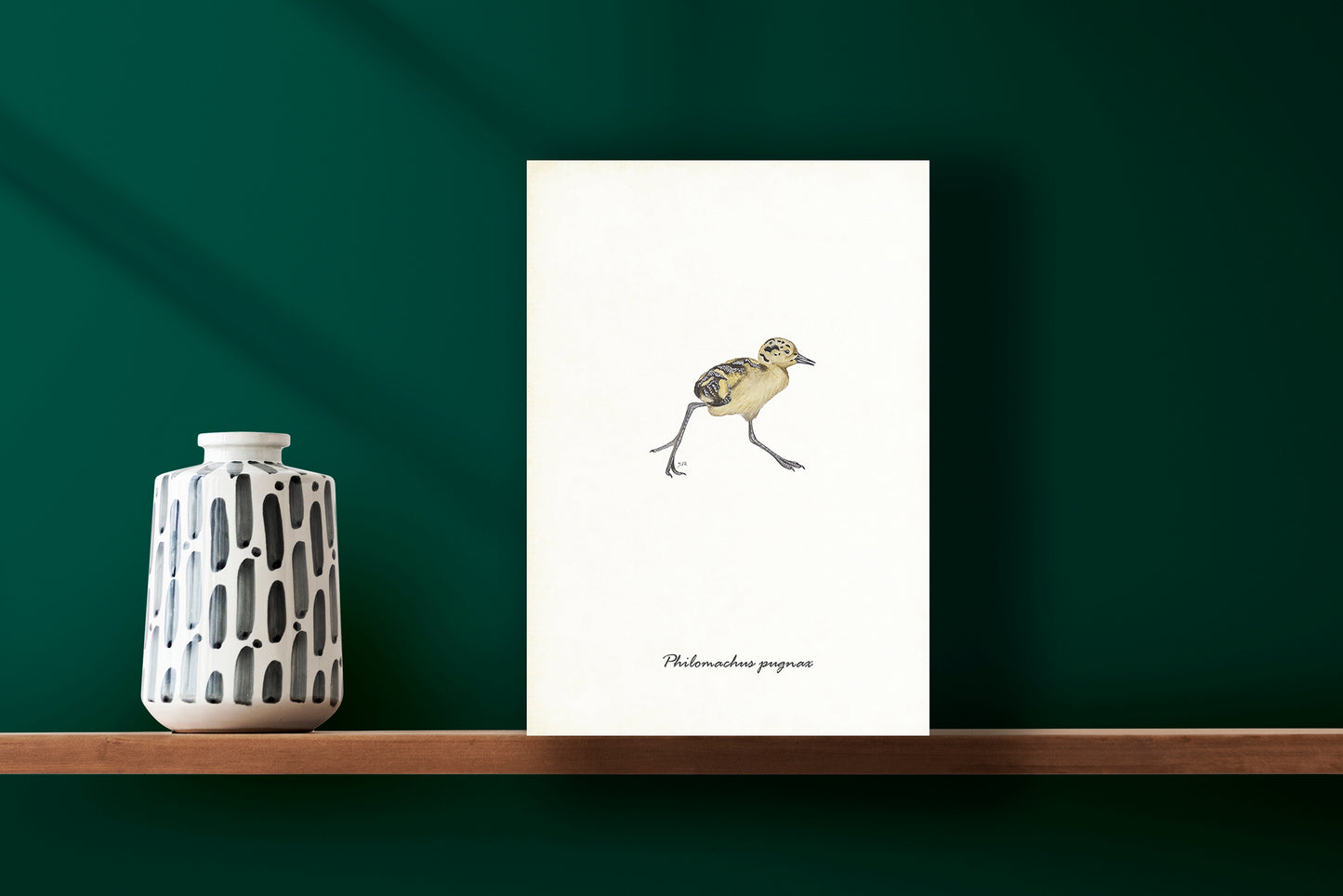 Wanddecoratie "Kemphaan pul"