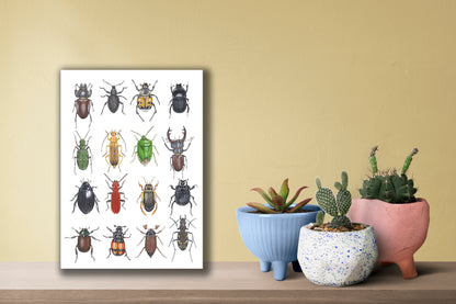 Wanddecoratie "Kevers"