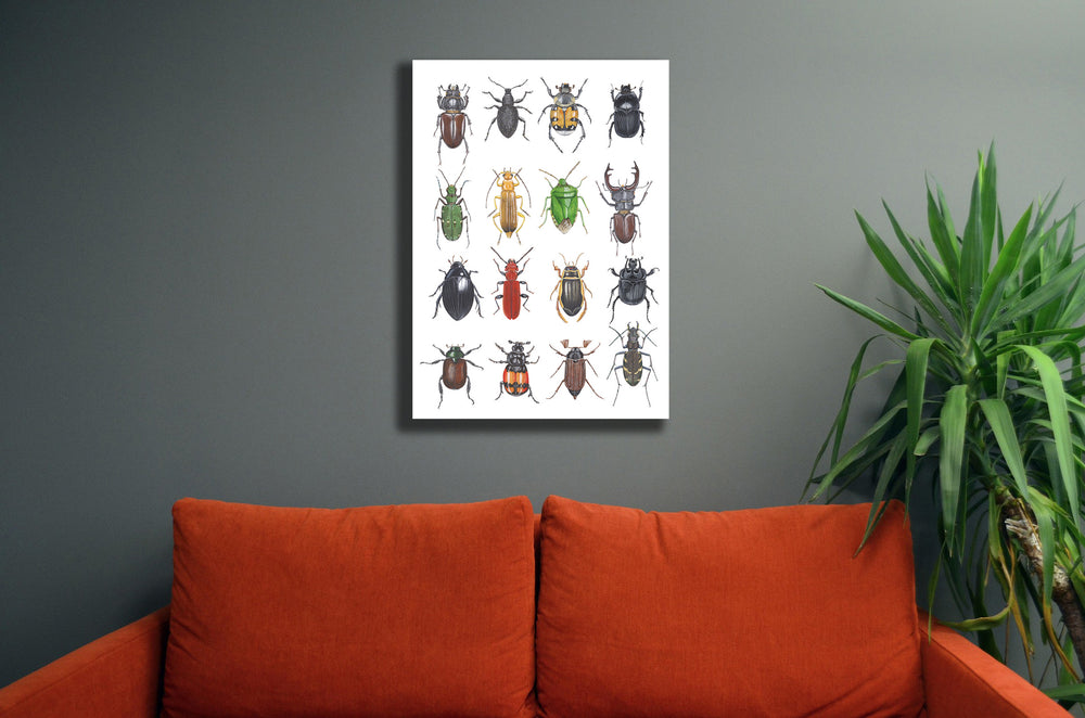 Wanddecoratie "Kevers"