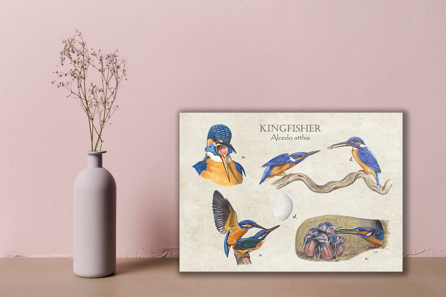 Wanddecoratie "Kingfisher"