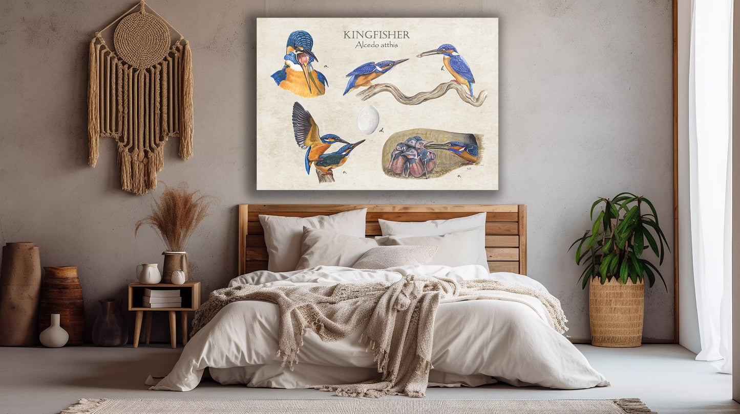 Wanddecoratie "Kingfisher"