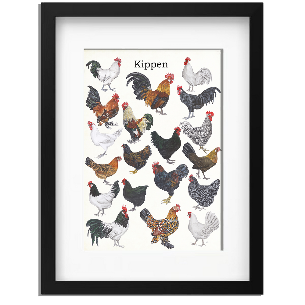 Ingelijst "Kippen"