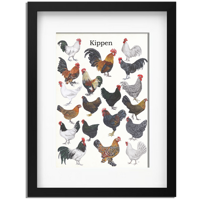 Ingelijst "Kippen"