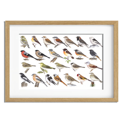 Ingelijst "Kleine zangvogels"
