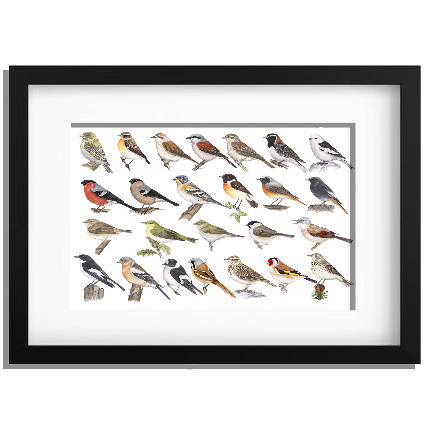 Ingelijst "Kleine zangvogels"