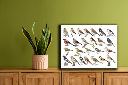 Wanddecoratie "Kleine zangvogels"
