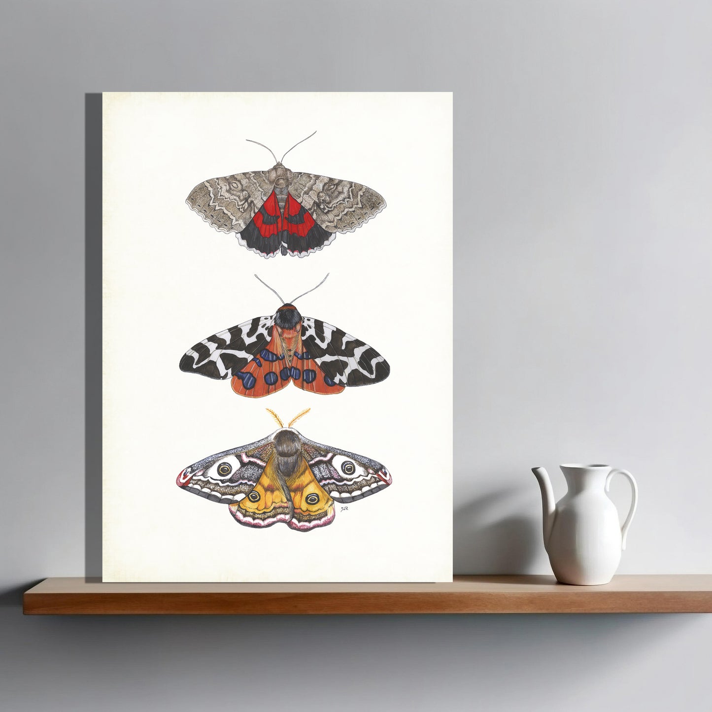 Wanddecoratie "Kleurrijke nachtvlinders"