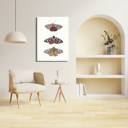 Wanddecoratie "Kleurrijke nachtvlinders"