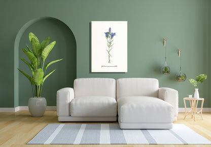 Wanddecoratie "Klokjesgentiaan"
