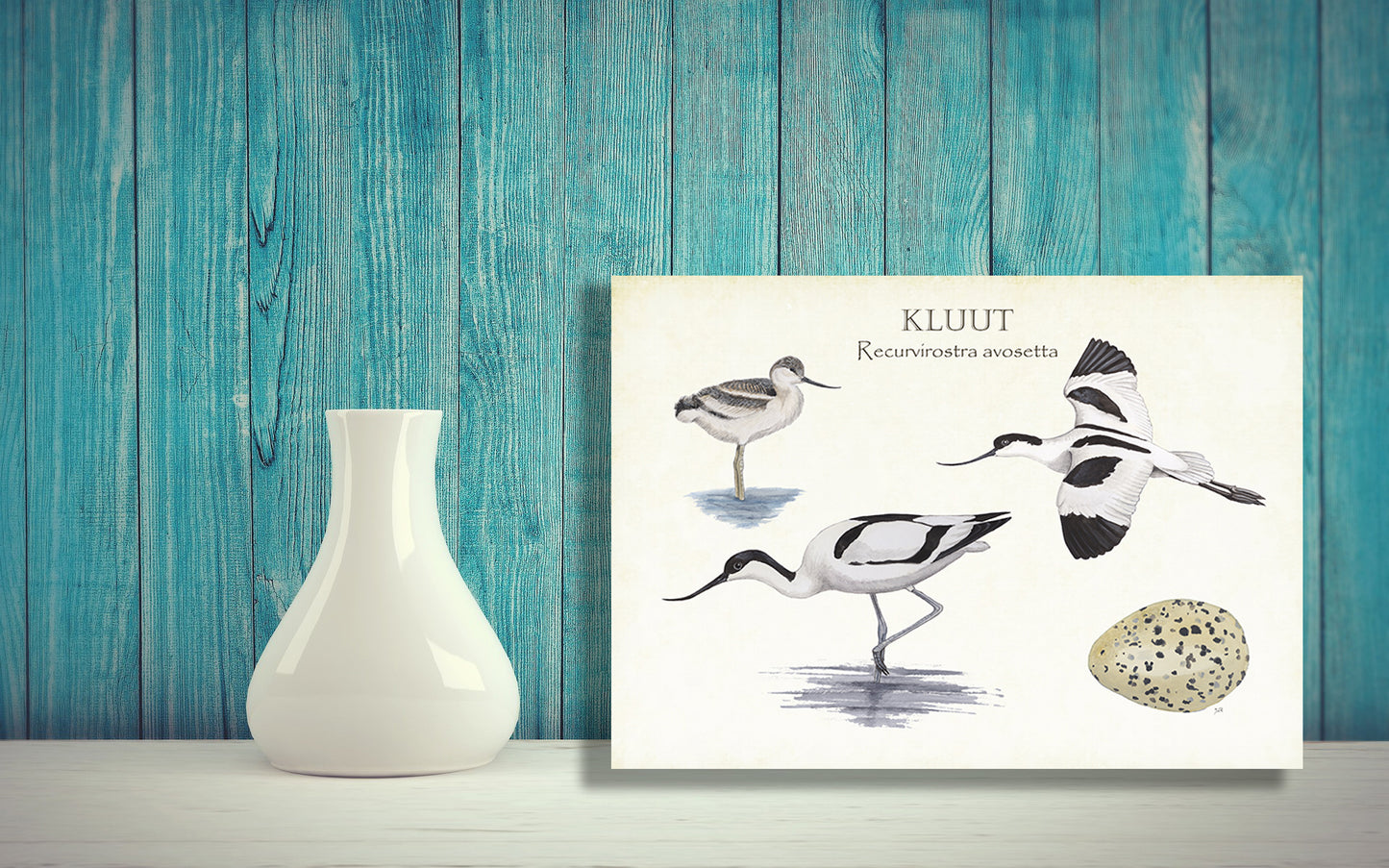 Wanddecoratie "Kluut, het leven van"
