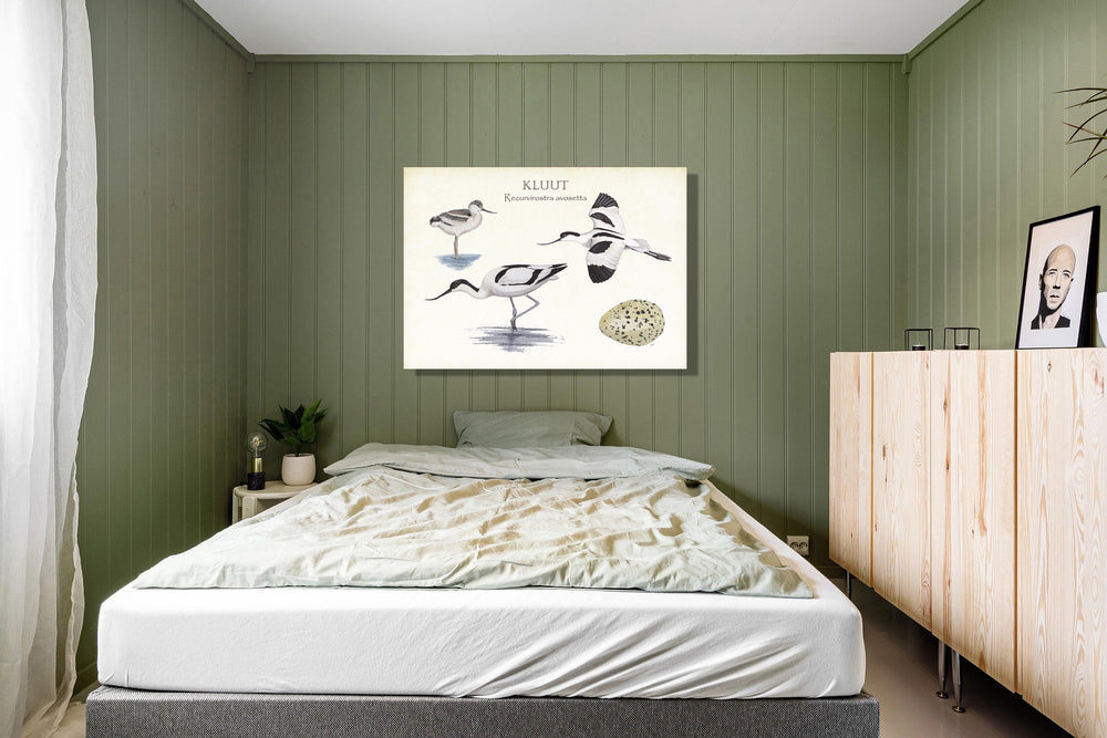 Wanddecoratie "Kluut, het leven van"