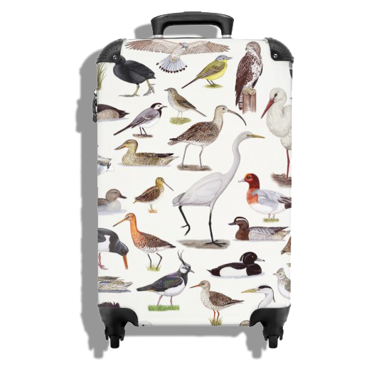 Koffer "Weidevogels"