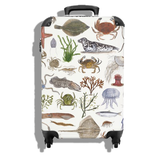 Koffer "Sealife"