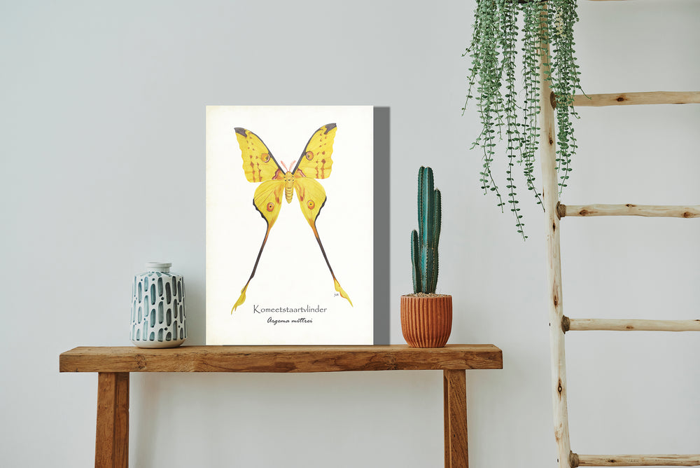 Wanddecoratie "Komeetstaartvlinder"